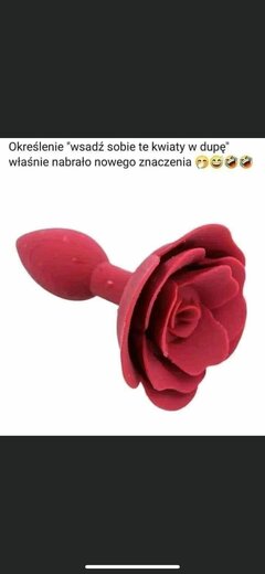 6cbce3fb-9333-4ed3-a0db-0af11d8d2490.jpeg