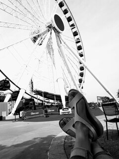 IMG_20230630_100229~2.jpg
