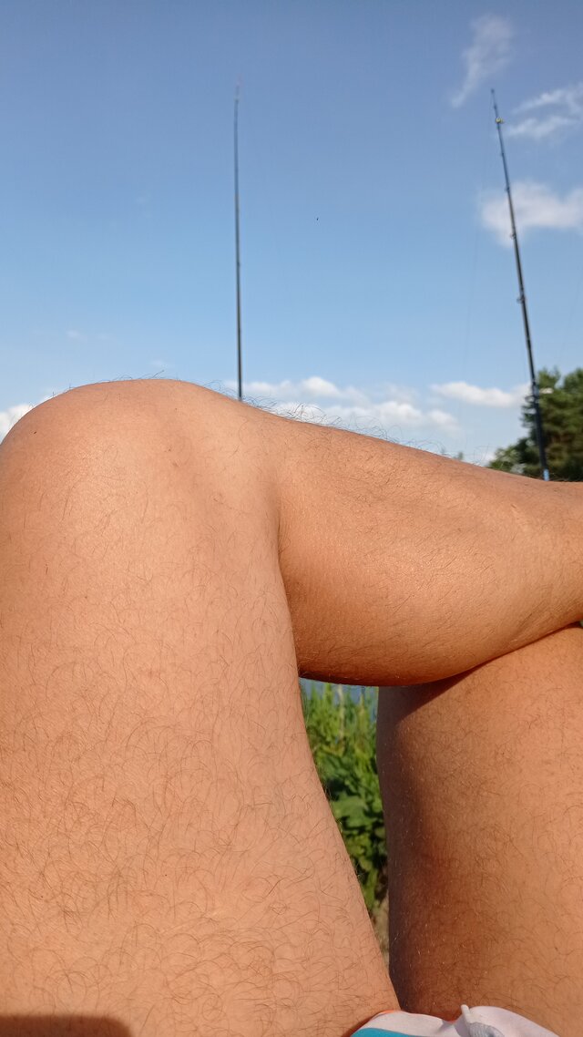 norbi31