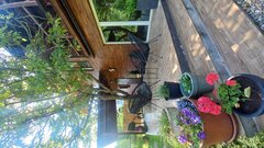 20230604_155805.jpg