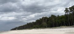 IMG_7571.jpeg