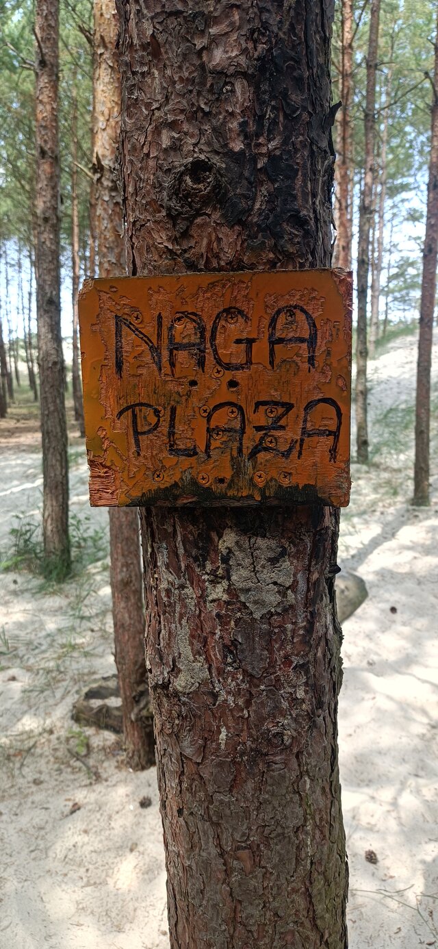 Hhgapss