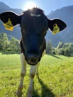 IMG_1253.jpeg