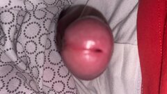 F68AB510-7FDC-440C-ABAB-ABD1312F643B.jpeg