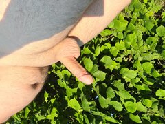 20230706_054430.jpg
