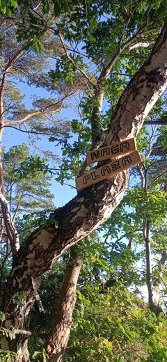 IMG_20230706_062540.jpg