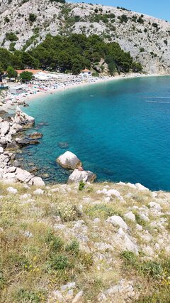 IMG_20230705_142152.jpg
