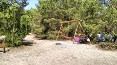 IMG20230608105027.jpg