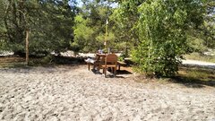 IMG20230608105003.jpg