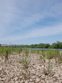 20230707_100914.jpg