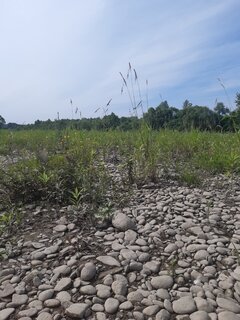20230707_100936.jpg