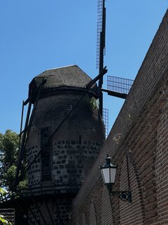 IMG_1288.jpeg