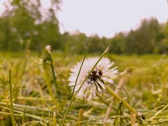20220529_115011-01.jpeg