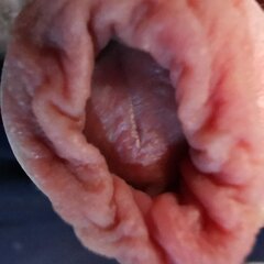 IMG_20230708_131830.jpg
