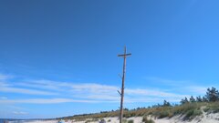 IMG_20200812_114446.jpg
