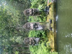 IMG_7230.jpeg