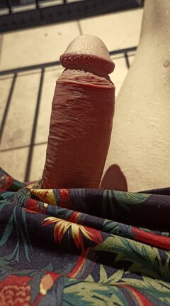 IMG_20230708_105421.jpg