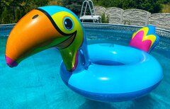 IMG_1889.jpeg