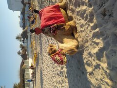 IMG_20230618_181623.jpg