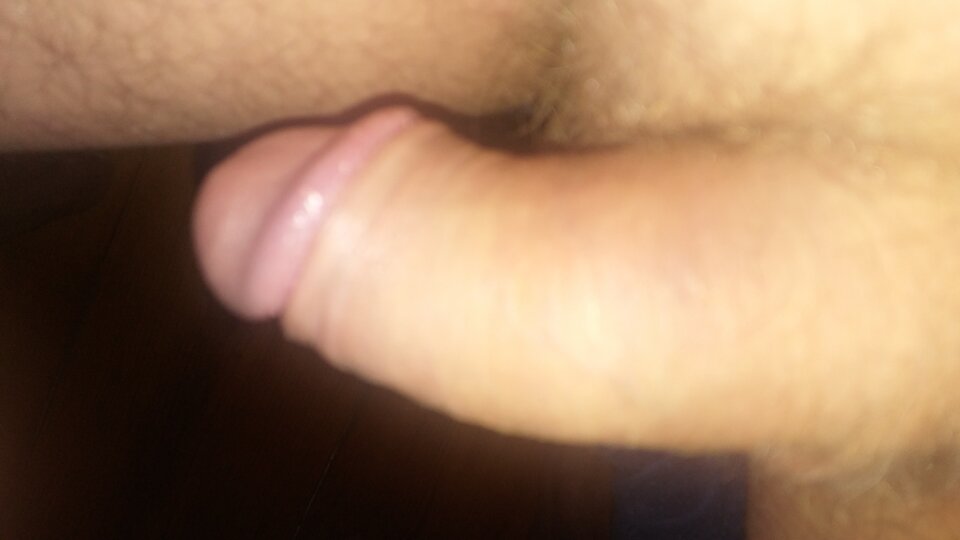20230704_021244.jpg - pawelik334