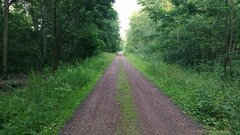 IMG_20230702_190842.jpg