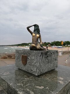 IMG_20230710_185207.jpg