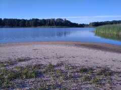 IMG_20230709_184906_1.jpg