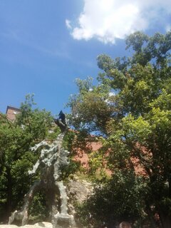 IMG_20230711_135716.jpg