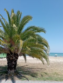 IMG_20230711_195313.jpg