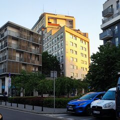 IMG_20230709_134909_285.jpg