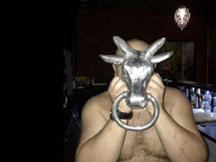 Bull