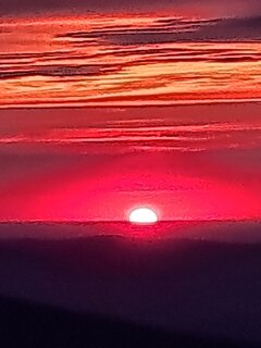 20230712_211505.jpg