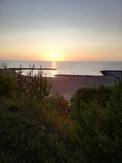 IMG_20230712_205931.jpg