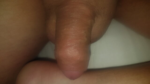 mysup55