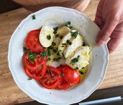 IMG_1955.jpeg