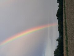 20230713_201441.jpg