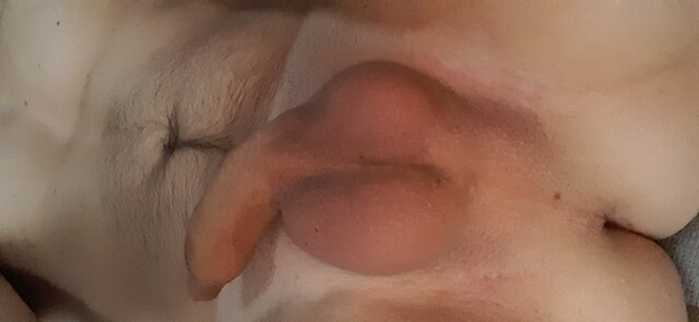 przemolcio2