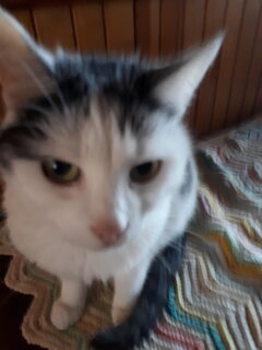 20210928_113852.jpg