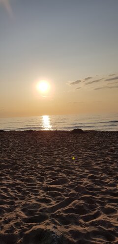 20230712_201116.jpg