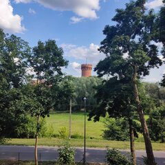 IMG_20230714_165901.jpg