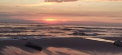 IMG_20230716_042754.jpg