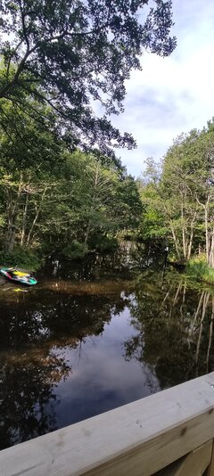 IMG_20230715_090351.jpg