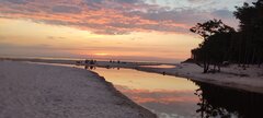 IMG_20230822_042314.jpg