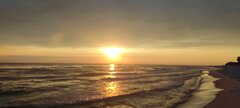 IMG_20230716_050524.jpg