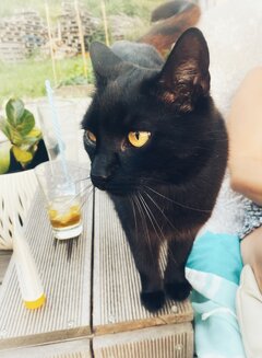 IMG_2029.jpeg