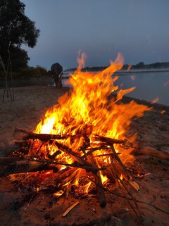 IMG_20230708_041431.jpg