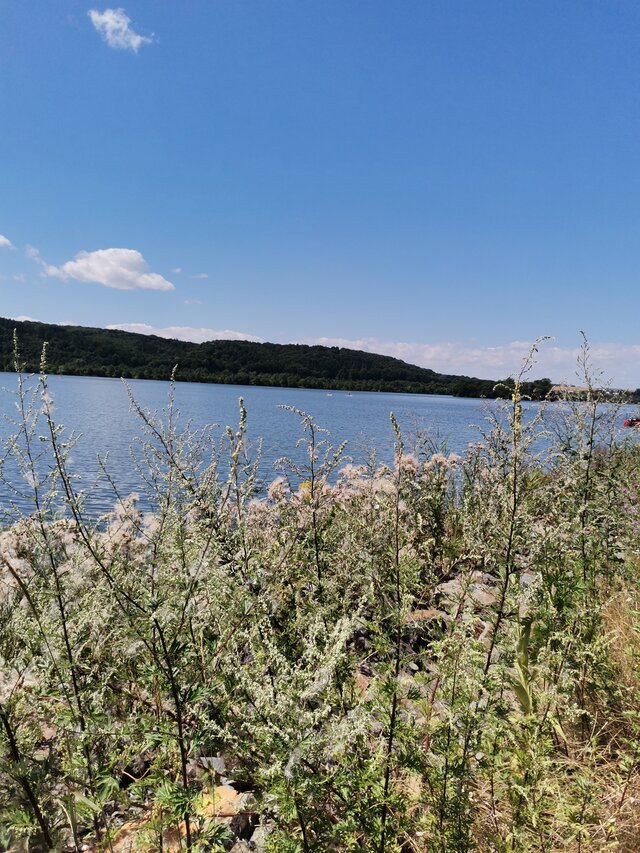 takfajnie