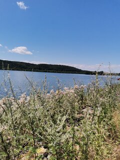 IMG_20230718_115346.jpg