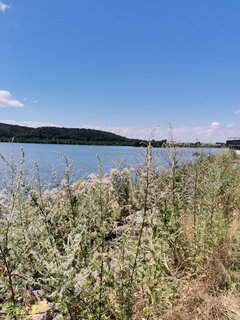 IMG_20230718_115349.jpg