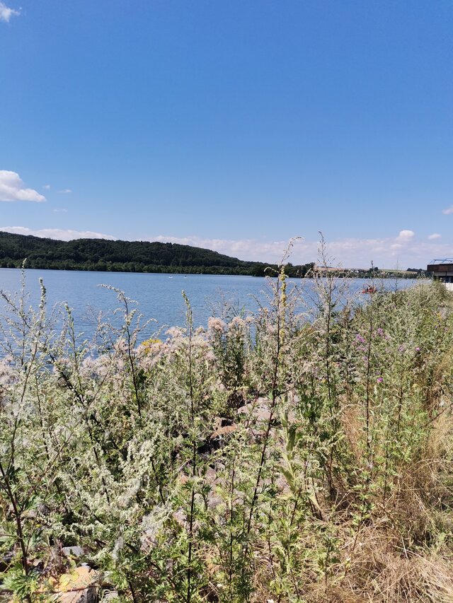 takfajnie